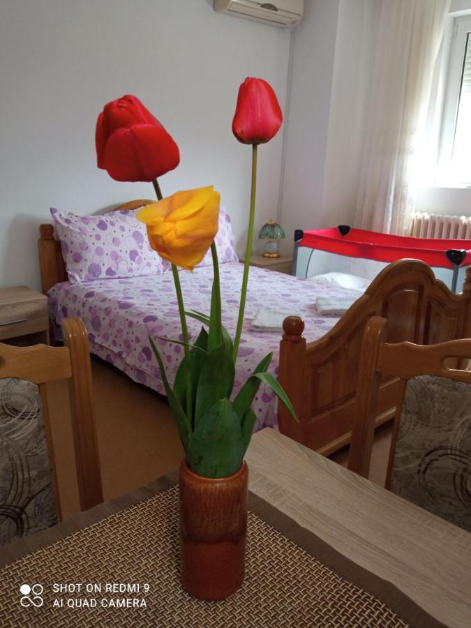 Apartman Andelina Vrnjacka Banja Luaran gambar