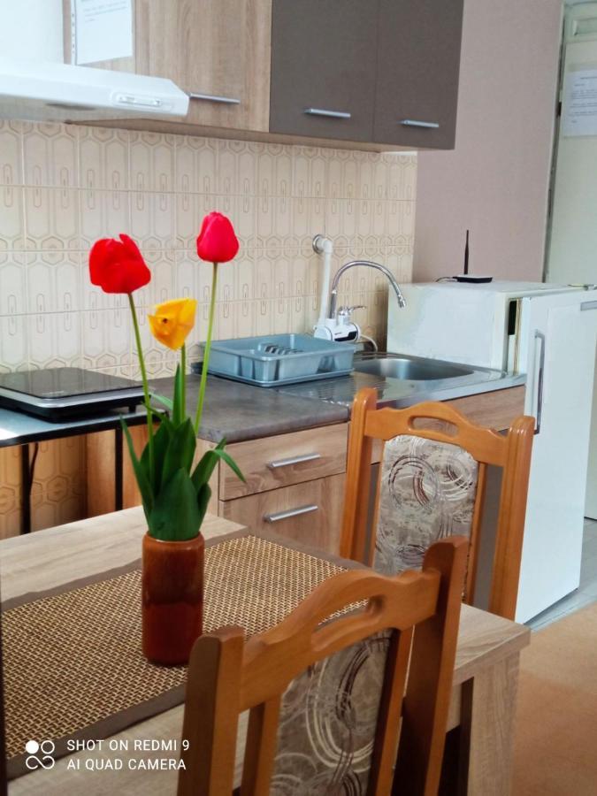 Apartman Andelina Vrnjacka Banja Luaran gambar