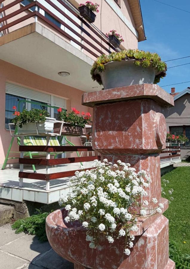 Apartman Andelina Vrnjacka Banja Luaran gambar